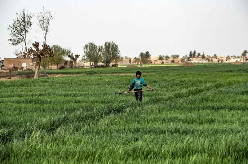 A boy crosses a field on the outskirts of the village of Baghouz in Deir Ezzor province, northern Syria. There, two years ago, ISIS made its stand and was defeated. In March 2019, Baghouz was a wasteland and roads were dotted with ruined homes. Now, residents have started to renovate buildings, children have returned to schools, and businesses have reopened. AFP