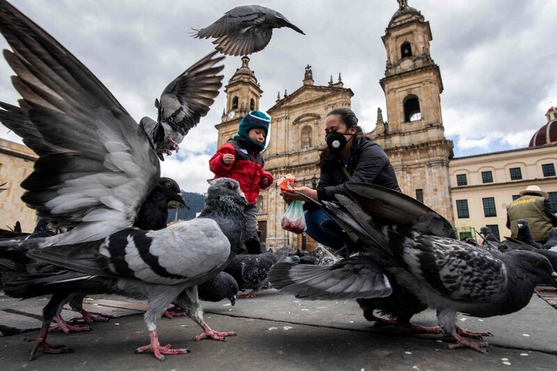 A woman and her child feed pigeons in Bogota, Colombia. AFP