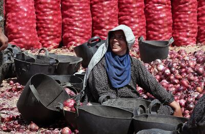 An Egyptian farm worker squats by bags of onions north of Cairo. EPA