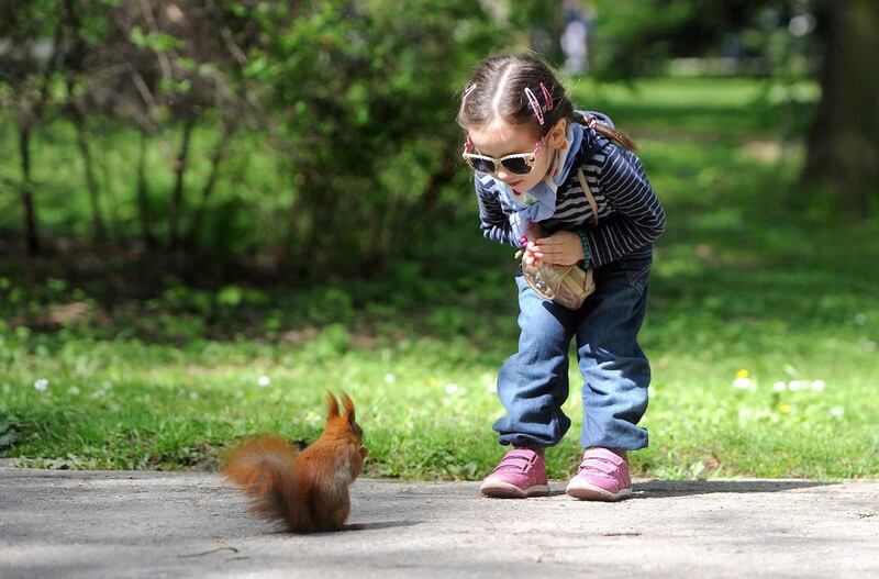 A child looks at a squirrel at the Royal Lazienki Park in Warsaw, on Easter Monday, Poland. Grzegorz Jakubowski / EPA