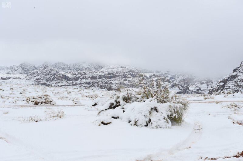 Heavy snowfall on the heights of Jebel Al-Lawz in Tabuk. SPA