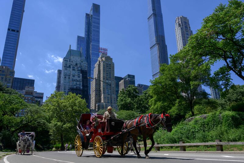 Horse-drawn carriages ride through Central Park. ANGELA WEISS  /  AFP