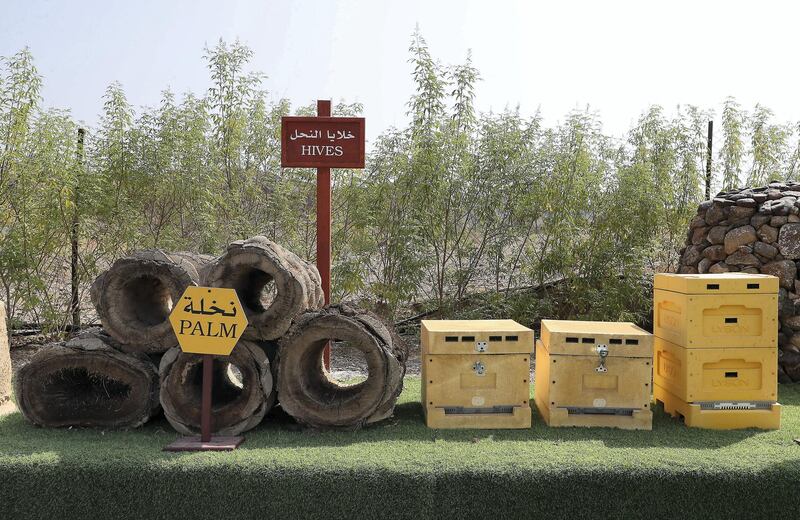 DUBAI, UNITED ARAB EMIRATES , November 7 – 2020 :- Different kind of hives on display at the Hatta honey bee garden at the Hatta in Dubai. The ticket price of honey bee garden tour is 50 AED per person.  (Pawan Singh / The National) For News/Online/Instagram/Big Picture. Story by Nick Webster 