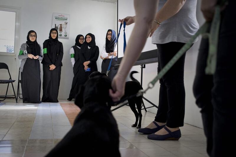 The only custom-built shelter in RAK, Fujairah and Umm Al Qaiwain, the centre has found homes for about 700 dogs and cats since it opened in 2010.