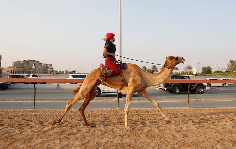The Arabian Desert Camel Riding Centre is the first centre dedicated to teaching camel riding.