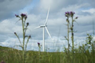 Despite wind turbines popping up seemingly everywhere, their contribution to clean fuel fell by 15 per cent – the product of lighter winds, possibly themselves the outcome of warmer temperatures. PA wire