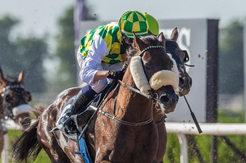 Jim Crowley took the honours on Jawaal in the Ruler of Sharjah Cup on Saturday, February 27. Courtesy Erika Rasmussen/ERA