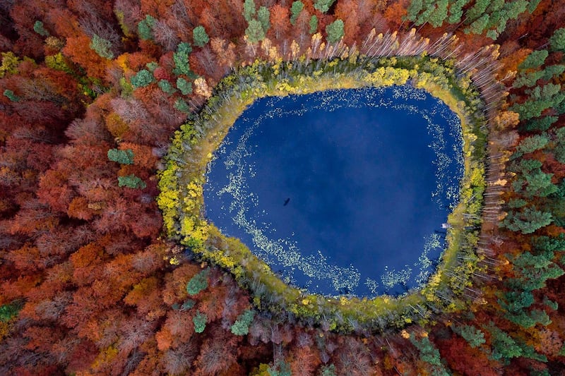 A view over a lake in a forest with trees changing colour in Autumn in Kashubia.