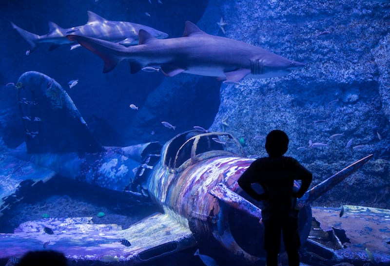 Covering more than 9,000 square metres, it is the largest aquarium in the Middle East.