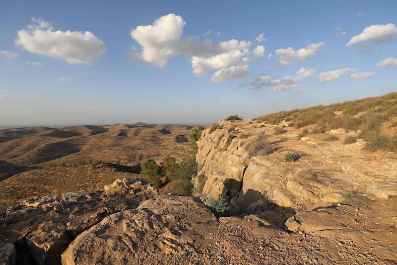 Ashaafean park was first designated as a nature reserve under former strongman Muammar Qaddafi in 1978.