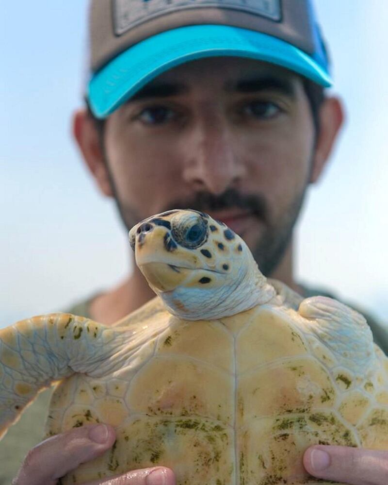 In April 2020, he took part in a turtle conservation project. Instagram / Faz3