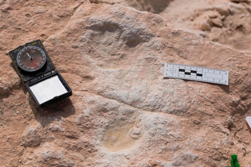 The first human footprint discovered at the Alathar ancient lake. Humans may have hunted the big mammals but they did not stay long, using the watering hole as a waypoint on a longer journey. This detailed scene was reconstructed by researchers in a new study published in Science Advances on September 16, following the discovery of ancient human and animal footprints in the Nafud Desert that shed new light on the routes our ancient ancestors took as they spread out of Africa. Klint Janulis / AFP