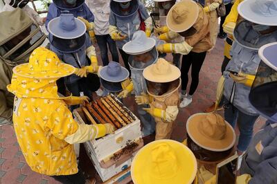 DUBAI, UNITED ARAB EMIRATES , November 7 – 2020 :- Visitors wearing protective beekeeping suits and face shields during the tour at the Hatta honey bee garden at the Hatta in Dubai. The ticket price of honey bee garden tour is 50 AED per person.  (Pawan Singh / The National) For News/Online/Instagram/Big Picture. Story by Nick Webster