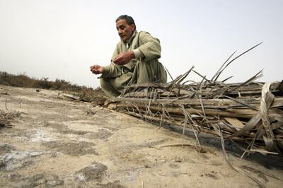 A farmer surveys the salt in the soil of his land in Rosetta in 2009. AFP