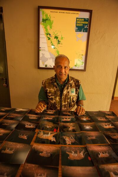 K Ullas Karanth, conservation scientist, leading tiger expert and emeritus director at the Centre for Wildlife Studies. Photo: K Ullas Karanth