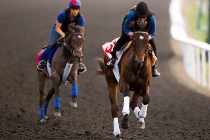 Royal Delta flopped at the Dubai World Cup in March but has found form since. Caren Firouz / Reuters