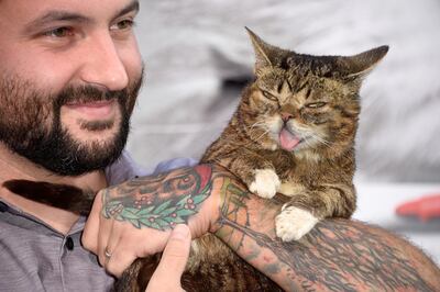 HOLLYWOOD, CA - AUGUST 01: Owner Mike Bridavsky and Lil BUB attends= the EuropaCorp's "Nine Lives" premiere at TCL Chinese Theatre on August 1, 2016 in Hollywood, California.   Frazer Harrison/Getty Images/AFP