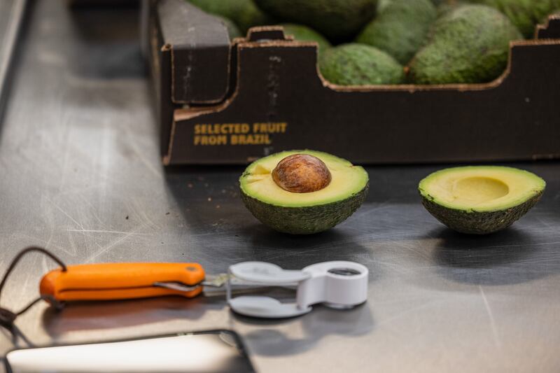 A halved avocado in the Apha inspection area