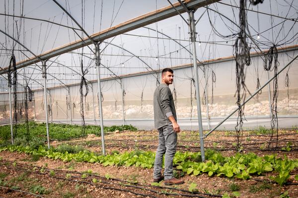 Palestinian farmer Adham Karaja inspects one of the greenhouses at Ard Alyaas in Saffa. Philippe Pernot / The National