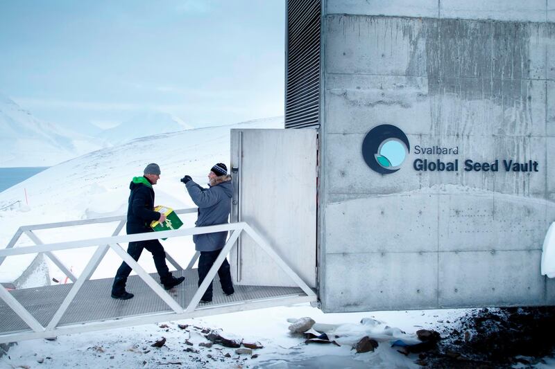 A man carries one of the newly arrived boxes containing seeds from Japan and USA into the international gene bank Svalbard Global Seed Vault (SGSV) on February 25, 2020. AFP