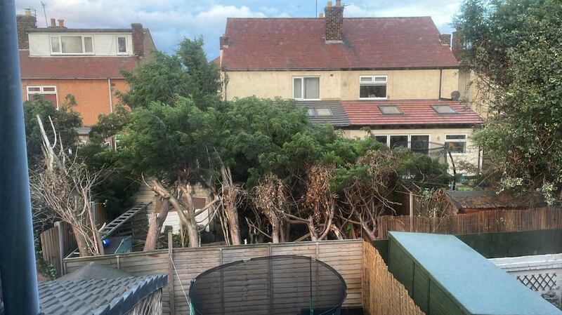 Fallen garden trees in Wallasey Village, Wirral, England. Photo: PA