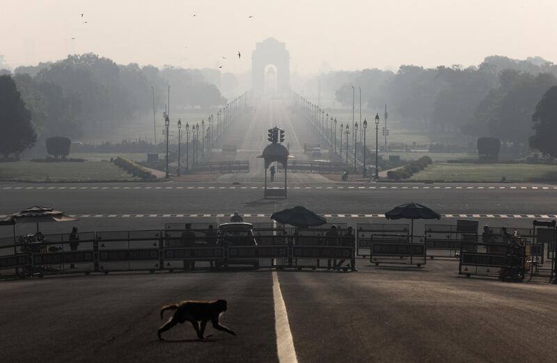 A monkey crosses the road near India's Presidential Palace. Reuters