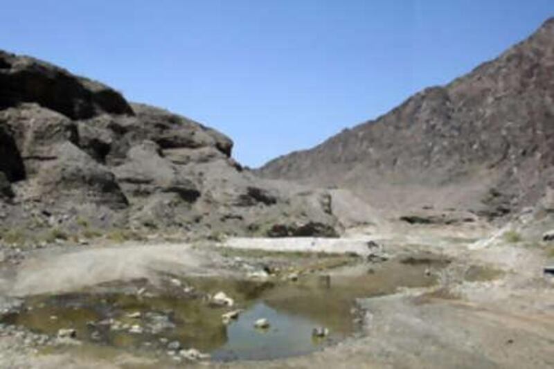 A wadi in Fujairah near Masafi. Non-native terrapins and pet fish, including tilapia, have been found breeding in the wadis, mainly in Fujairah.