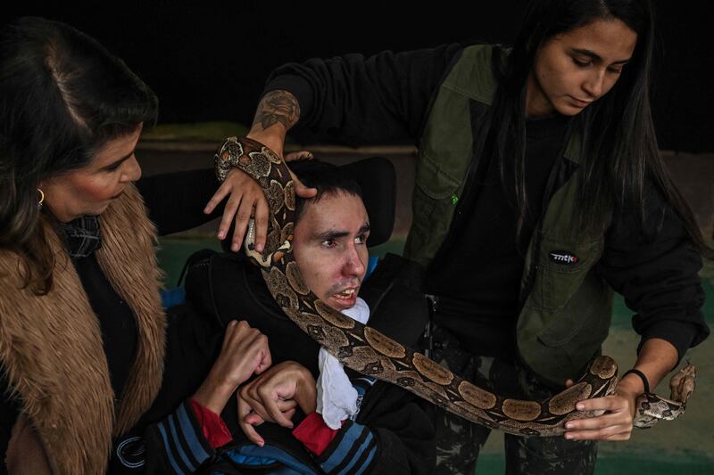 Therapist Andrea Ribeiro, left, and biologist Beatriz Araujo, right, bring out a snake for Santos during a therapy session