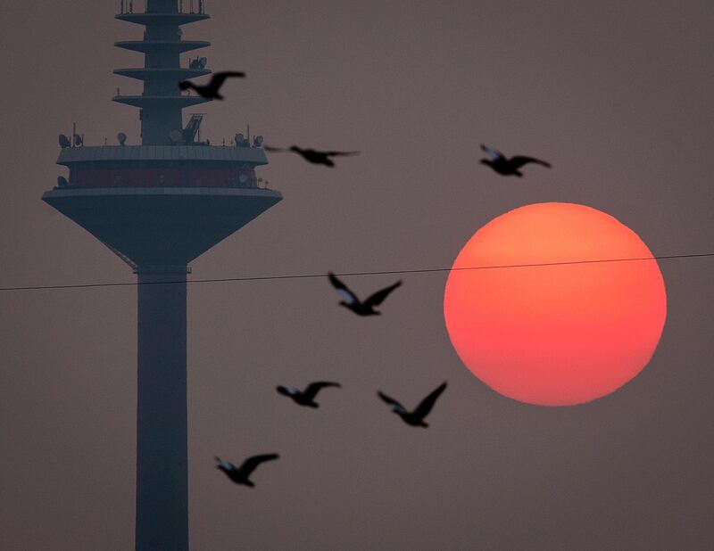 Birds fly by the rising sun and the television tower in Frankfurt, Germany. Michael Probst / AP Photo