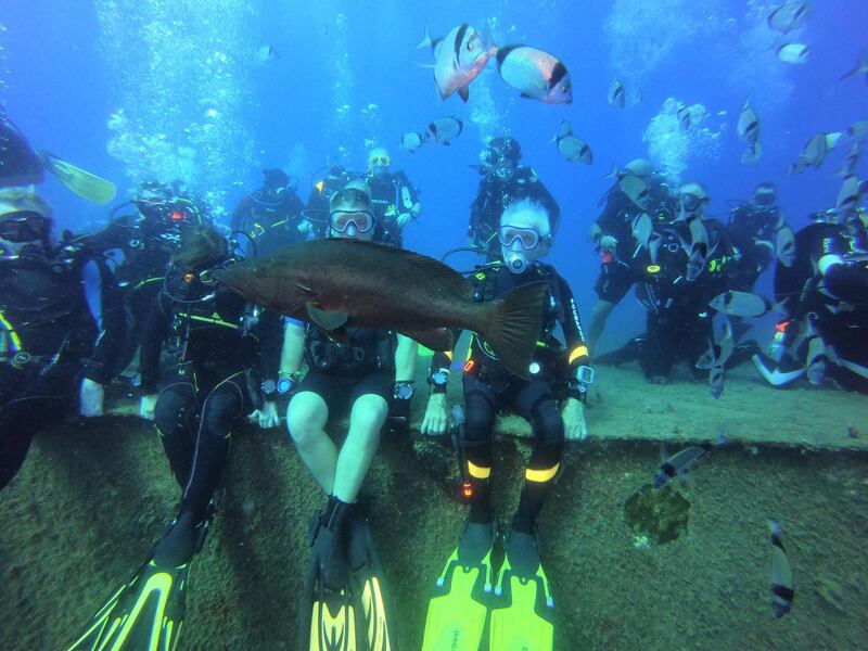 Woolley is seen underwater at the Zenobia. Reuters