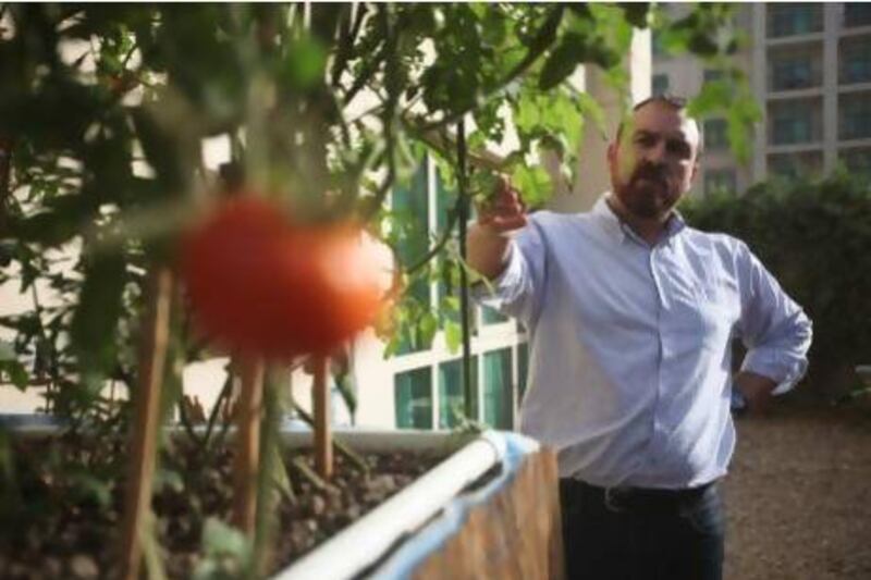 Dubai resident Daniel Frawley has set up a hydroponic gardening system in his garden and has basil and tomatoes growing. Lee Hoagland / The National