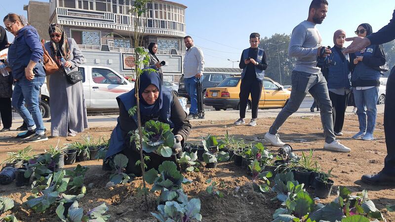Volunteers plant trees and flowers while others clear rubbish