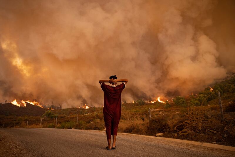 Morocco joins several other Mediterranean countries that have seen forest fires in recent weeks, including neighbouring Algeria.