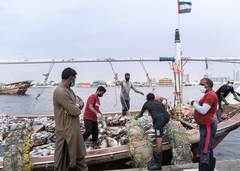 AJMAN, UNITED ARAB EMIRATES. 12 APRIL 2020. 
Ajman Fish Market’s auction.
(Photo: Reem Mohammed/The National)

Reporter:
Section: