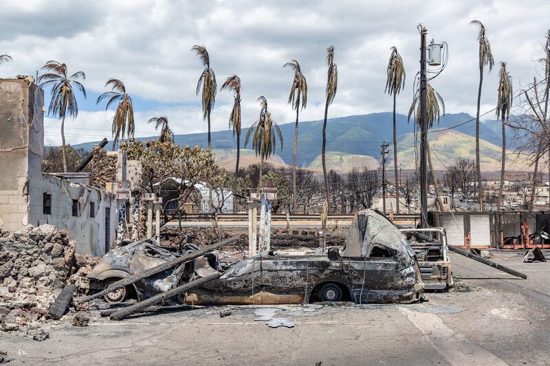 Burnt palm trees and destroyed cars and buildings in the aftermath of the Lahaina wildfire in Maui, Hawaii. AFP