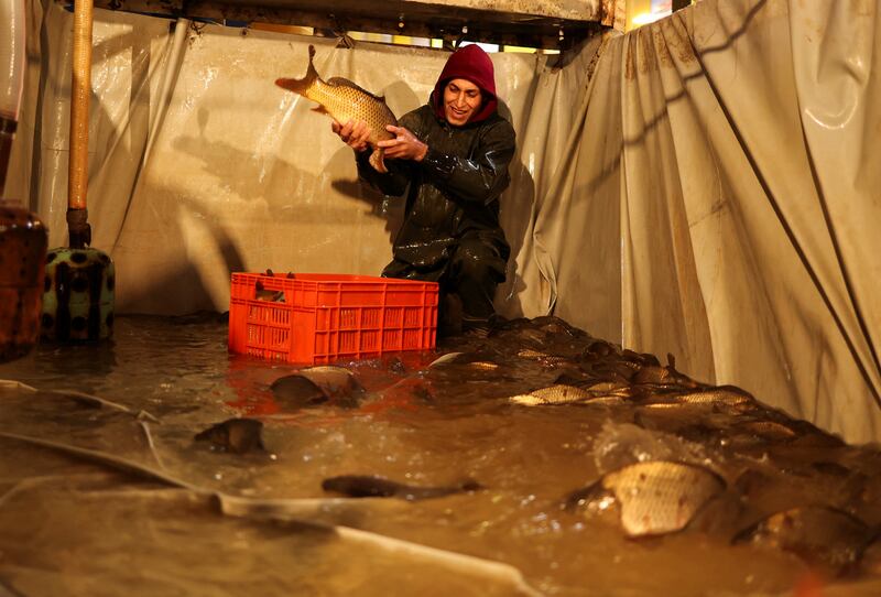 An Iraqi vendor shows a fish to customers at the fish market in Najaf