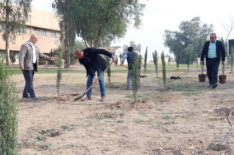 Iraqi volunteers plant trees. AFP