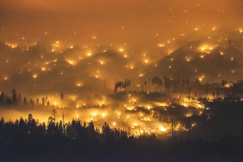 The El Portal Fire in 2014 charred more than 1,214 hectares of California's Yosemite National Park. EPA