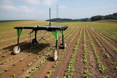 The prototype of an autonomous weeding machine by Swiss start-up ecoRobotix is pictured during tests on a sugar beet field near Bavois, Switzerland May 18, 2018. REUTERS/Denis Balibouse     TPX IMAGES OF THE DAY