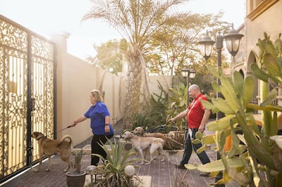 DUBAI, UNITED ARAB EMIRATES - SEPTEMBER 20, 2018. 

Sarita Harding, and her husband David, with their rescue dogs. The couple are volunteers with Animal Action UAE.

Animal Action UAE, which is part of Emirates Animal Welfare Society has had to stop rescues because it owes vet surgeries across the UAE so much money - around Dh100,000. The charity desperately needs to find homes for 15-20 dogs that are currently boarding at veterinary surgeries at a cost of Dh60 a day each. They have around 80 animals under their care just now that they are trying to rehome. 


(Photo by Reem Mohammed/The National)

Reporter: GILIAN
Section: NA