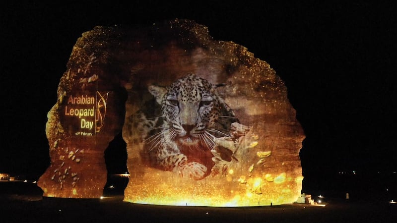 Each February, Middle East landmarks light up for Arabian Leopard Day