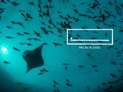 The Palau Pledge made Palau the first country in the world to change its immigration laws to protect its natural environment. Courtesy The Palau Pledge 