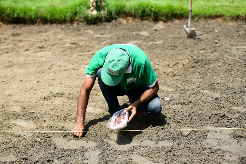 Planting seeds at Green Heaven Farm and Camping, Sharjah.