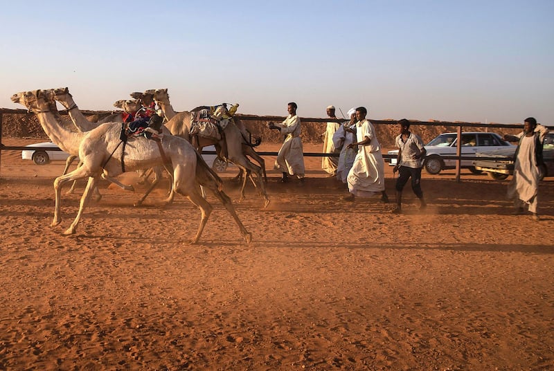 Sudanese handlers cheer during a camel race at a track near al-Ikhlas village in the west of the city of Omdurman. The race is organised by traditionally camel-rearing tribal families from the village as a way to preserve and celebrate their heritage. AFP