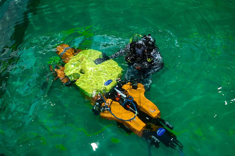 Scientists at Khalifa University and Stanford University are working to develop robots that can take on critical tasks such as monitoring the health of coral reefs and keeping oceans clean
