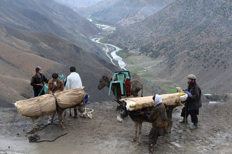 Donkeys are loaded with goods in the Panjshir valley. AFP