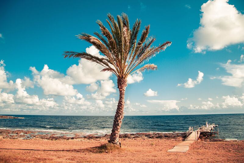 5. Cyprus. Photo: Matthew Feeney