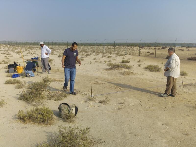 Archaeologists including Dr Mark Beech set up at site B. The site is on the eastern part of the island, facing the mangroves. Courtesy Dr Robert Parthesius