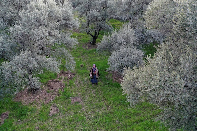 Tayyibe Demirel, who is refusing to sell her olive grove to coal mining companies, is pictured among her olive trees in Turgut village, near the south-western town of Yatagan, in Mugla province, Turkey. Reuters