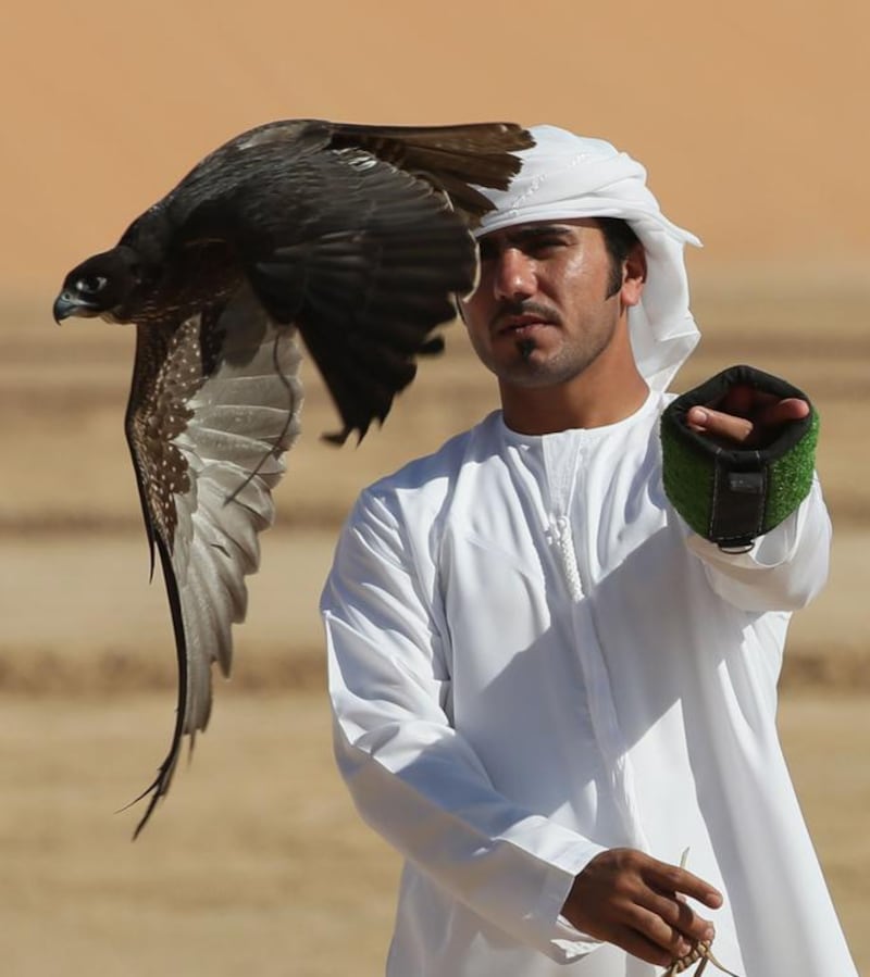 An Emirati falconer trains his bird during the Liwa Moreeb Dune Festival.